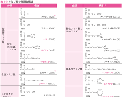 アミノ酸の画像