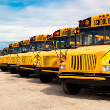 Estreia da seleção na Copa terá ônibus escolares com preços reduzidos em ‘rivalidade’ entre estados