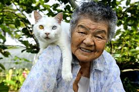 CAT FRIDAY: Top cat stories of 2012 | Bloglander | The Pacific Northwest Inlander | News, Politics, Music, Calendar, ... - grandma_and_cat