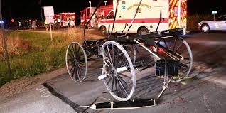 Life flight transports multiple victims after horse buggy crash in ...