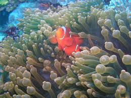Image result for pictures gallery for amazing wonders of the world