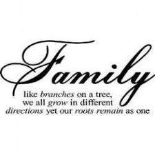 F A M I L Y!!!!!!!! on Pinterest | Quotes About Family, Family ... via Relatably.com