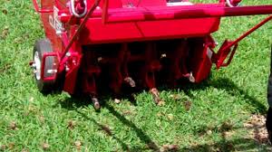 Image result for aeration photos on st augustine grass