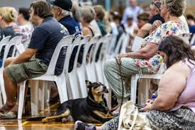 ‘Pack what’s precious’: Victorians bracing for catastrophic fire danger hunker down with caravans, kelpies and litres of water