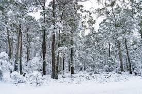 A taste of winter for Southeast Australia later next week