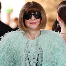 Anna Wintour Turns Heads in Show-Stopping Feathered Look at Met Gala 2026