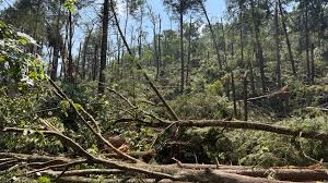 EF-2 tornado confirmed in Huntingdon County area, NWS says