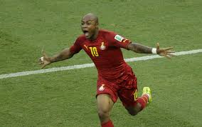 Image result for andre ayew