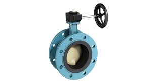 Butterfly valves for water