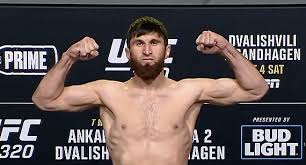 Sherdog - News update