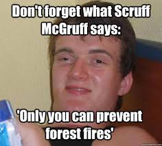 Don&#39;t forget what Scruff McGruff says: &#39;Only you can prevent forest fires&#39;. Don&#39;t forget what Scruff McGruff says: &#39;Only you can prevent forest fires - 78a6ac271e457f117dac8bd79a5f5db0215701f03eac31008224ac4bbc15b1a4