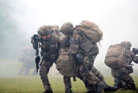 Image result for World Foreign Legions