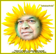 If God is a flower, you should feel yourself a bee that sucks its honey;” - Sri ... - if-god-is-a-flower-sai-baba
