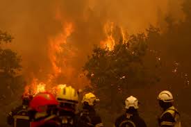 france wildfires Picture