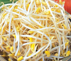 Image result for RAU MẦM CẢI XANH