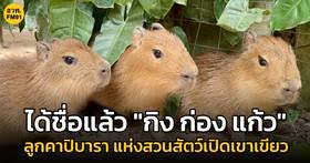 LINE TODAY - News update