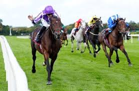 JRA-VAN World - News update