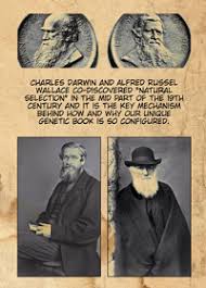 The Darwin-Wallace Debate: Natural Selection and its Implications ... via Relatably.com