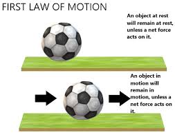 Newton's First Law of Motion - GeeksforGeeks
