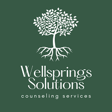 Wellsprings Solutions
