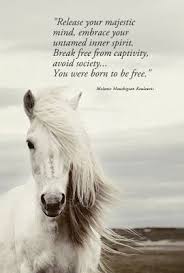 free spirit quotes | Release your majestic mind, embrace your ... via Relatably.com