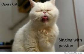 Opera Cat Sings With Passion | WeKnowMemes via Relatably.com