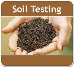 wisconsin soil evaluation report