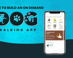 Image of Ondemand pet care app