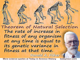 Ronald Aylmer Fisher quote Natural selection is a mechanism for ... via Relatably.com