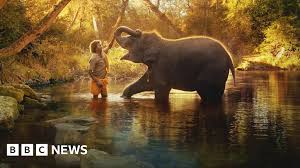 "The Elephant Whisperers: A Beautifully Captivating Short Documentary from India Shines at Oscars 2023"