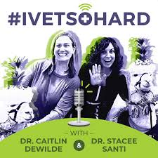 #IVETSOHARD, Technology And Workflows For Veterinary Teams