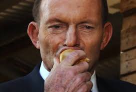 Image result for images of Abbott
