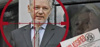 Image result for wikileaks