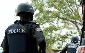 Image result for Nigerian police