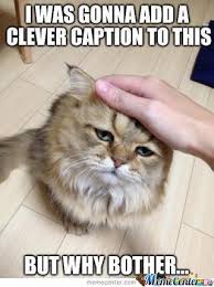 Disappointed Cat by mashuka - Meme Center via Relatably.com