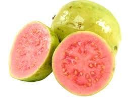 guava க்கான பட முடிவு
