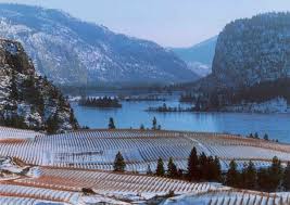 Image result for images of okanagan in january 2017
