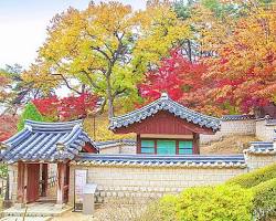 안동 도산서원 가을 풍경 사진, AI로 생성