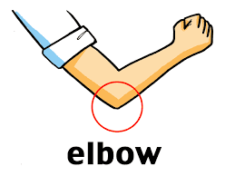 Resultado de imagem para elbow