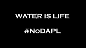 Image result for #nodapl