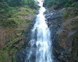 Image of Dabbe Falls, Karnataka