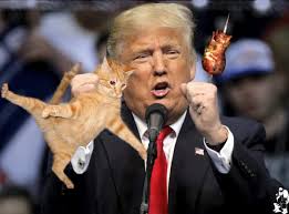 Image result for trump grabbing pussy