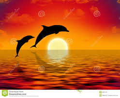 Résultat de recherche d'images pour "photo de dauphins"