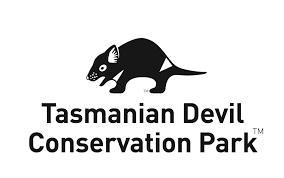 Image result for Tasmanian devil