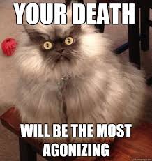 Your death Will be the most agonizing - Colonel Meow - quickmeme via Relatably.com