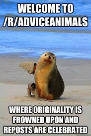Welcoming Seal memes | quickmeme via Relatably.com