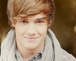 You can download wallpaper Liam Payne One Direction Wallpapers for free here ...