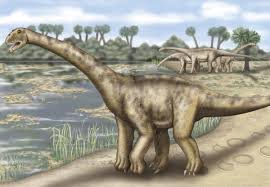 Resultado de imagem para fósseis de dinossauro nos estados americanos de Utah e Novo México.