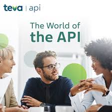The World of the API