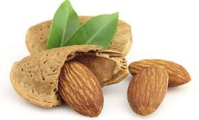 Image result for almond